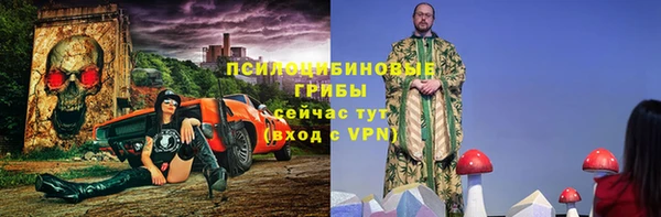 тгк Лиски
