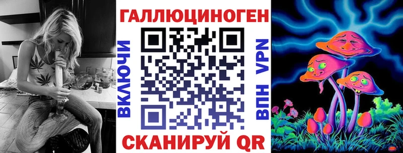 закладка  Динская  Псилоцибиновые грибы Cubensis 